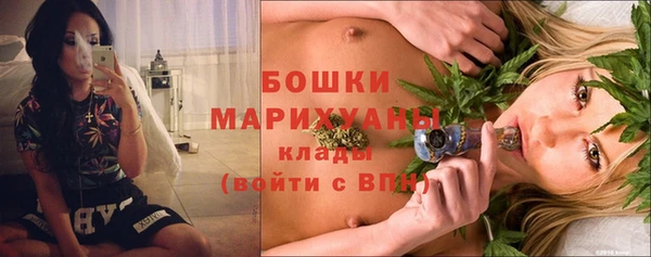 крисы Аша