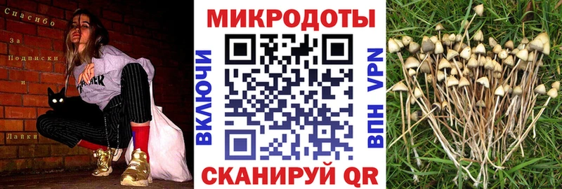 Галлюциногенные грибы Cubensis  Инта 